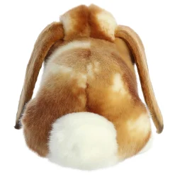 Aurora® - Miyoni® - 9
