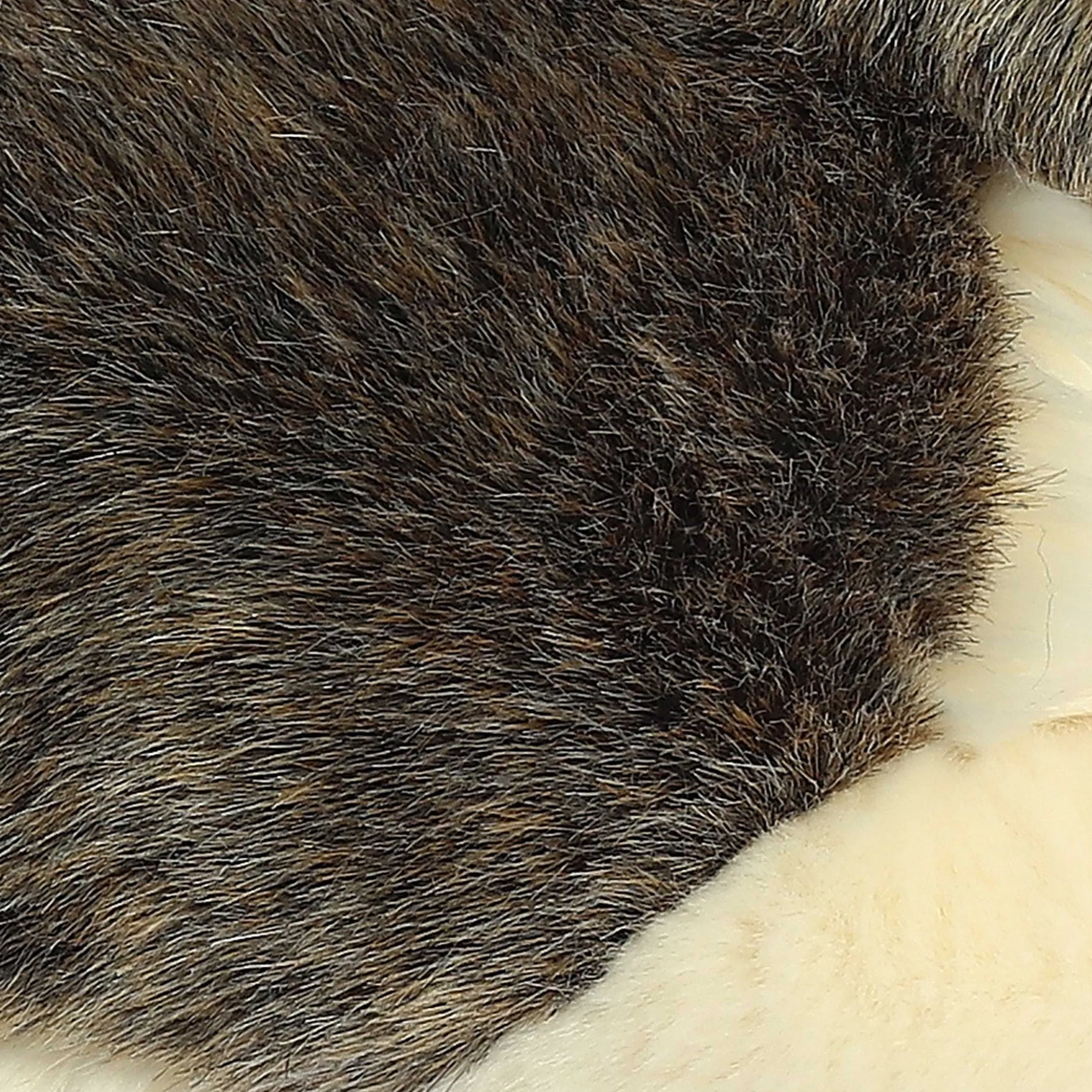 Aurora® - Miyoni® - Wolf