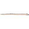 Aurora® - Snake - 50" Aqua Pit Viper