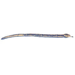 Aurora® - Snake - Kusheez - 52