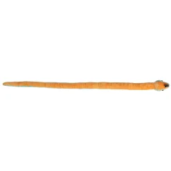 Aurora® - Snake - 50" Mint Speckled Snake